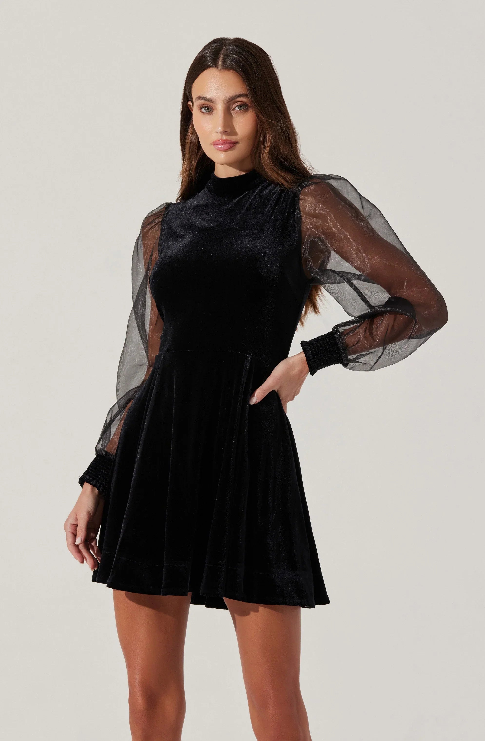 Lbruh Velvet Sheer Puff Sleeve Dress