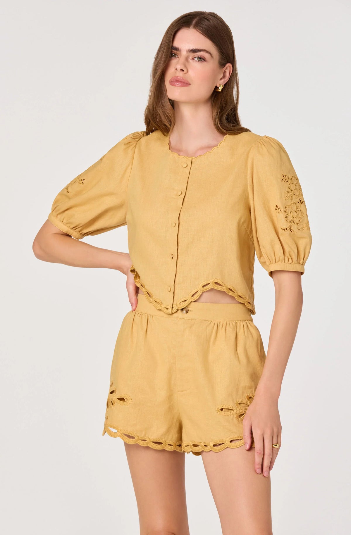 Inixyf Joellyn Embroidered Puff Sleeve Top