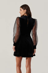 Lbruh Velvet Sheer Puff Sleeve Dress