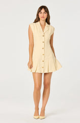 Inixyf Diannie Tweed Mini Dress