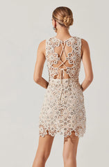 Lbruh Priscila Crochet Floral Mini Dress