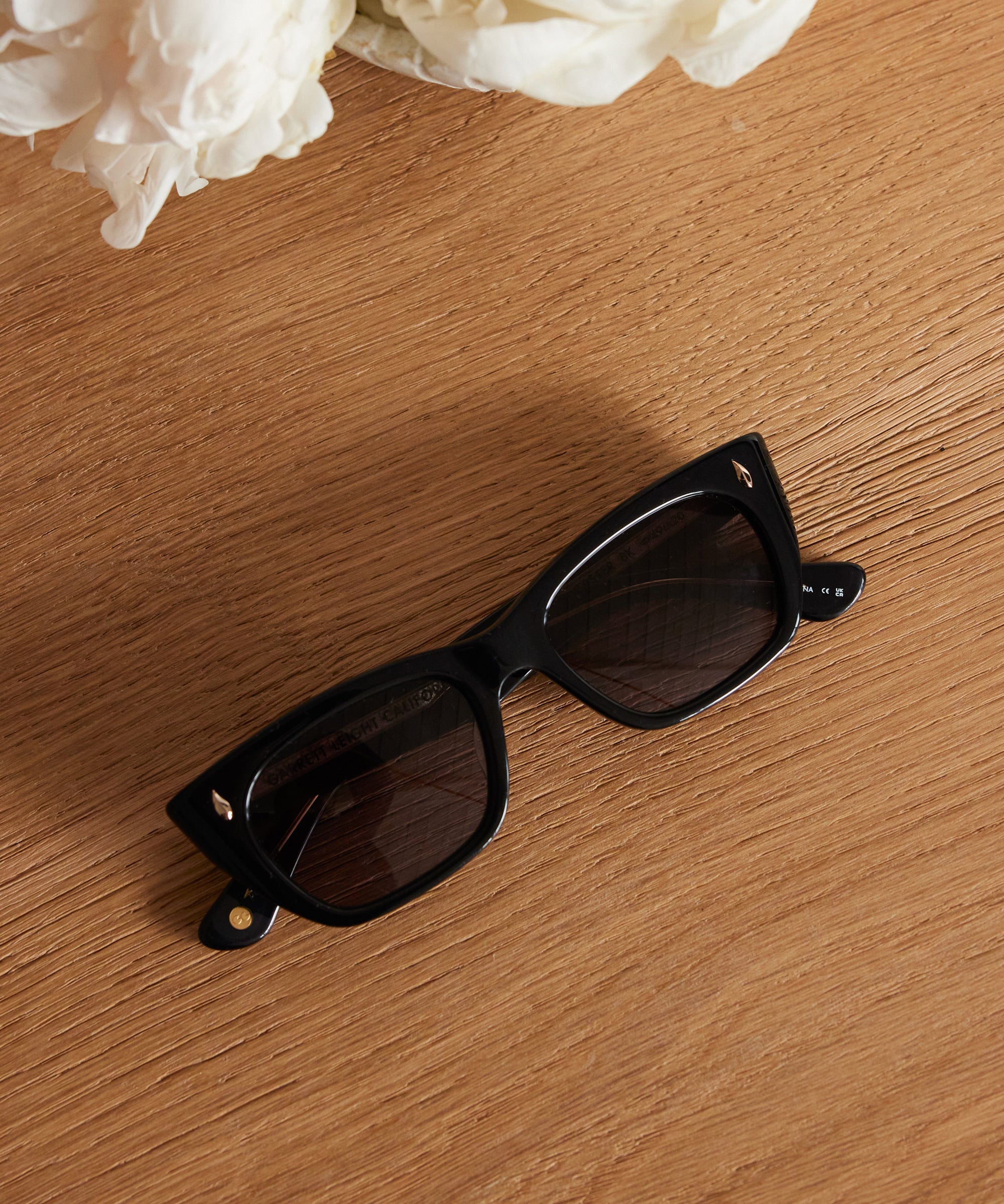 Webster Sunglasses