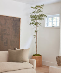 Ranch Planter
